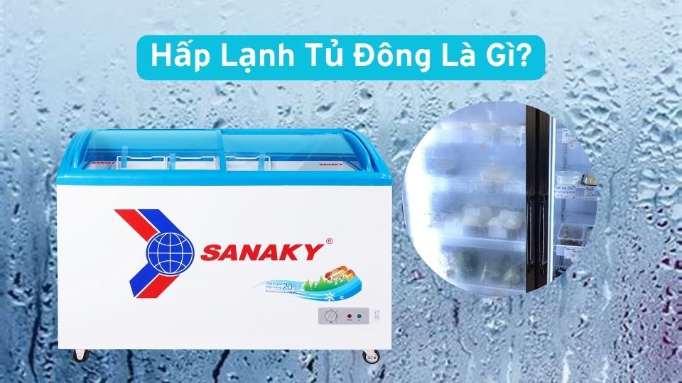 Hiện Tượng Hấp Lạnh Tủ Đông Là Gì