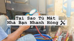 Tại Sao Tủ Mát Nhà Bạn Nhanh Hỏng