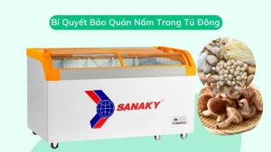 Bí Quyết Bảo Quản Nấm Trong Tủ Đông