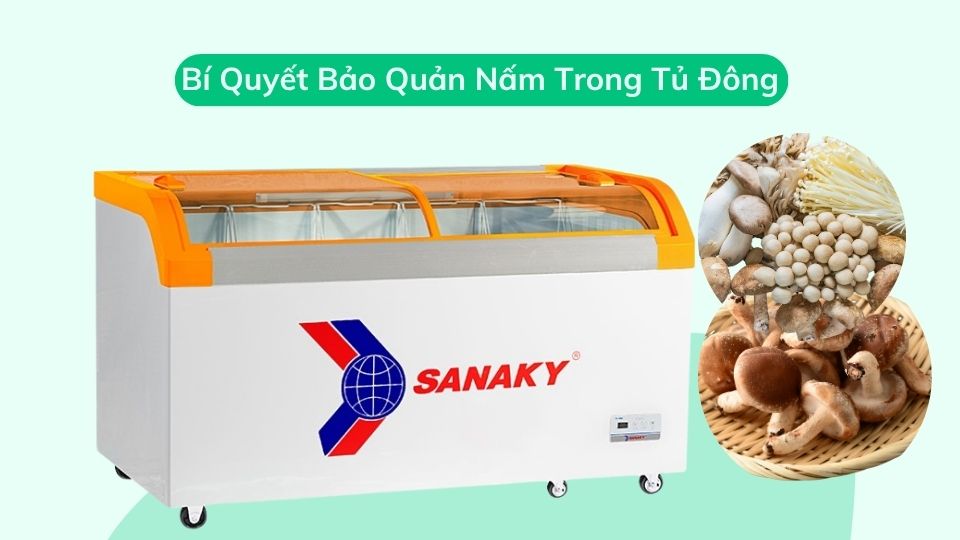 Bí Quyết Bảo Quản Nấm Trong Tủ Đông