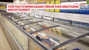 Tuổi thọ tủ đông Sanaky Bền bỉ theo năm tháng