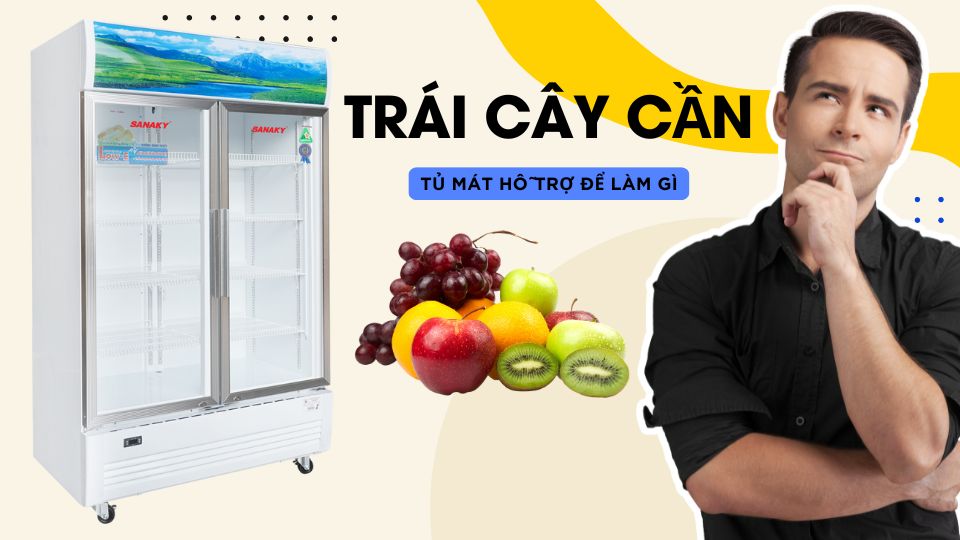 Tại Sao Trái Cây Cần Tủ Mát Hỗ Trợ
