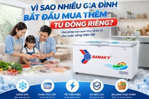 Vì sao nhiều gia đình bắt đầu mua thêm tủ đông riêng