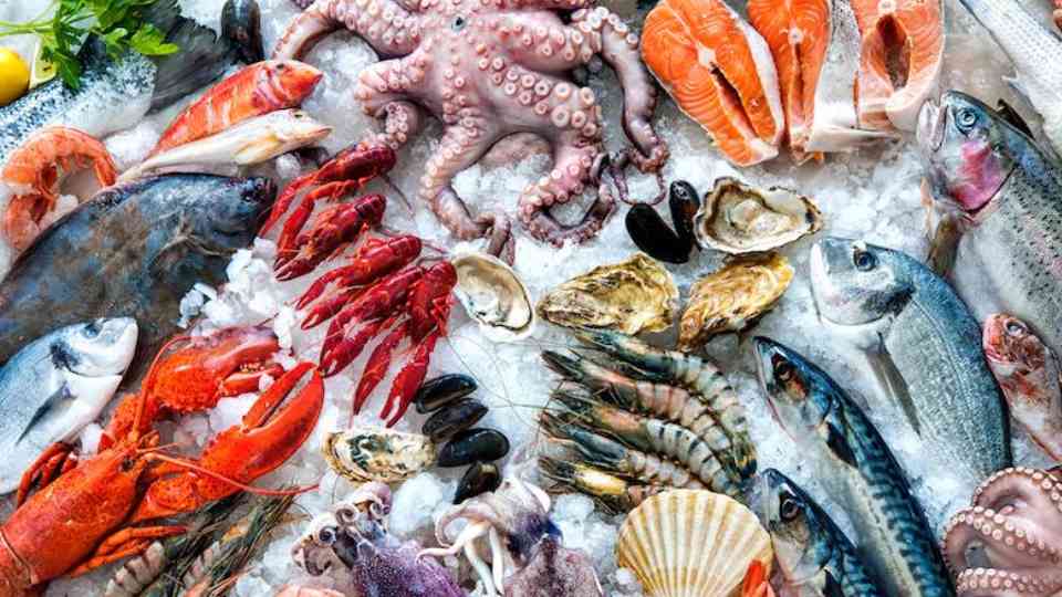Hải Sản – Nhóm Thực Phẩm “Khó Chiều” Nhất