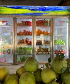 Tủ mát siêu thị 4 cánh Sanaky VH-2209HP