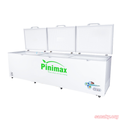 Tủ đông Pinimax 1100L PNM-119AF