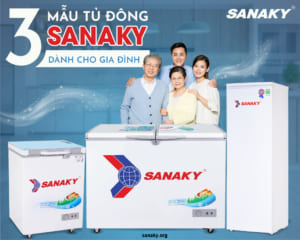 Giới thiệu 3 mẫu tủ đông Sanaky dùng cho gia đình