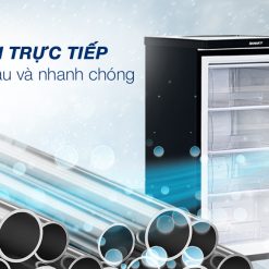 Dàn lạnh tủ đông Sanaky Vh-160K3