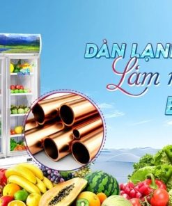Dàn Lạnh Đồng Tủ Mát Sanaky Inverter VH-1520HP3 (2)