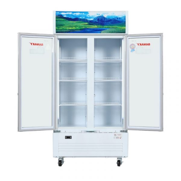 Tủ Mát Sanaky VH-6009HP (4)