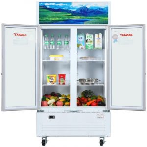 Tủ Mát Sanaky VH-6009HP (8)