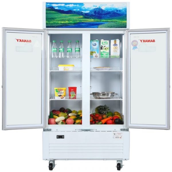 Tủ Mát Sanaky VH-6009HP (8)