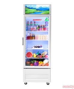 Tủ đông 1 cánh dàn đồng Inverter