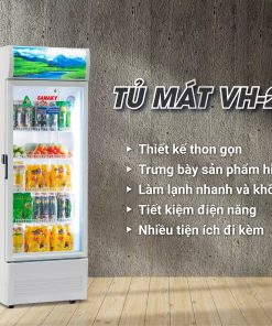 Tủ mát Sanaky 250L VH-2589K