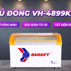 Tủ đông Sanaky 480L VH-4899KB cánh kính