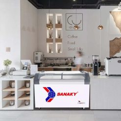 Demo tủ đông Sanaky VH-3899KB trong cửa hàng