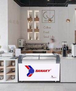 Demo tủ đông Sanaky VH-4899KB