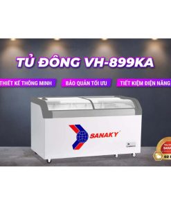 Giới thiệu tủ đông Sanaky VH-899KA