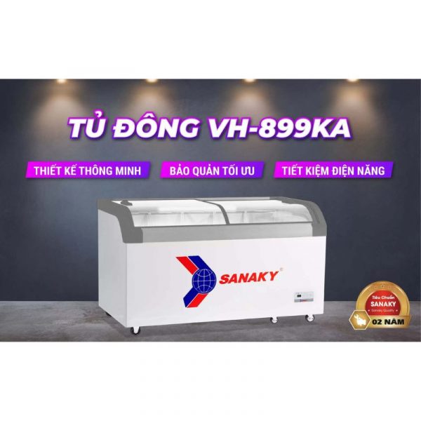 Giới thiệu tủ đông Sanaky VH-899KA