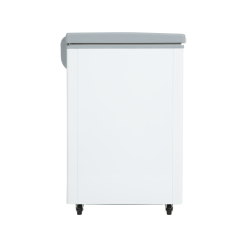 mặt bên tủ đông Sanaky VH-2899W3