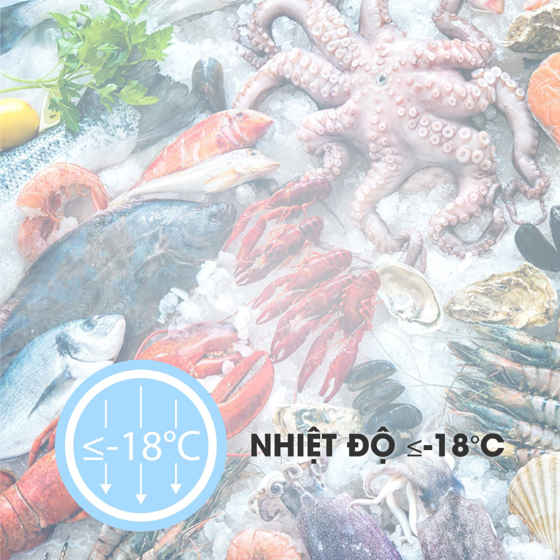 Với nhiệt độ dưới ≤-18°C thực phẩm được bảo quản trong điều kiện đông lạnh sâu