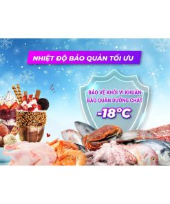 Nhiệt độ tủ đông Sanaky VH-3899KB