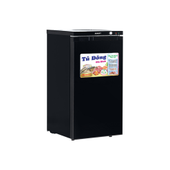 Tủ đông đứng Sanaky VH-160K