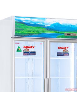 Phần trên Tủ mát Sanaky 2 cánh dàn đồng