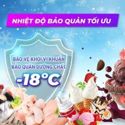 Dải nhiệt độ bảo quản âm sâu, bảo quản sản phẩm lâu dài tủ đông VH-1008KA