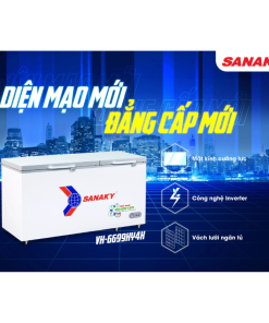 Diện mạo tủ đông Sanaky VH-6699HY4K