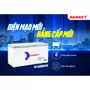 Diện mạo tủ đông Sanaky VH-6699HY4K