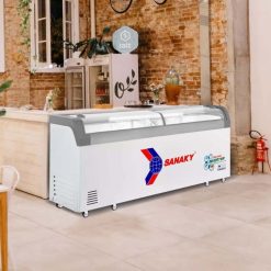 Demo tủ đông Sanaky Inverter VH-1099K3A