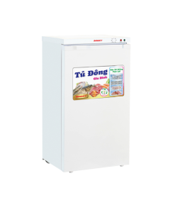 Tủ đông đứng Sanaky VH-160VD