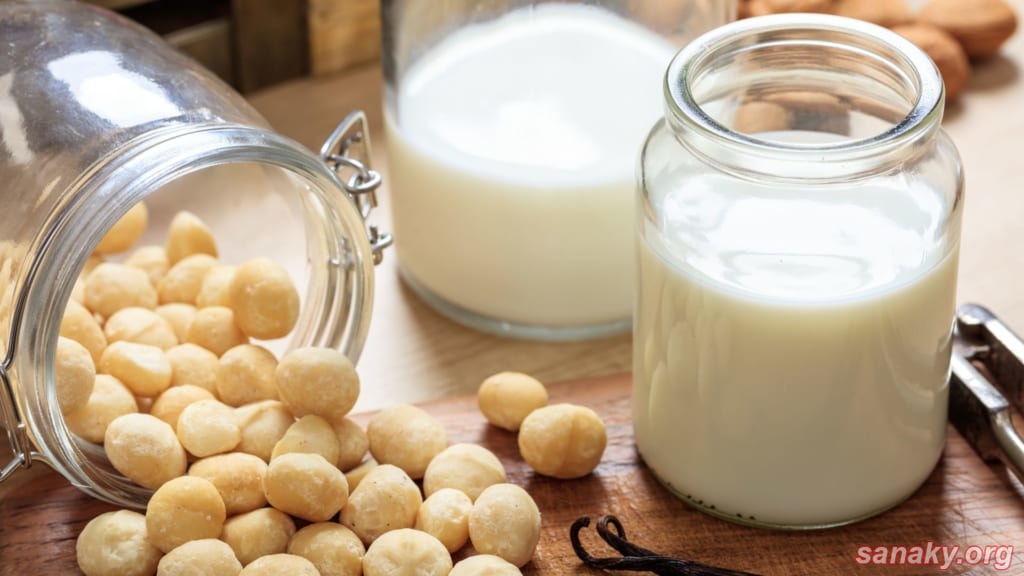 Sữa hạt có chứa nhiều protein