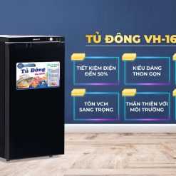 Tủ đông Sanaky VH-160VD3