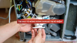 Tại sao tủ đông hãng Sanaky bị rò điện