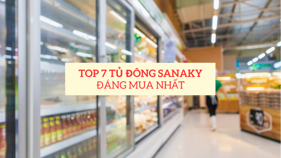 Top 7 tủ đông Sanaky đáng mua nhất hiện nay