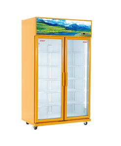 Mặt trái tủ mát Sanaky VH-1209HPA