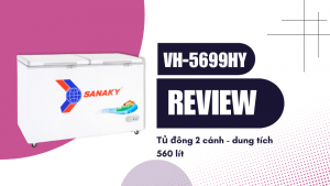 Review sản phẩm tủ đông VH-5699HY