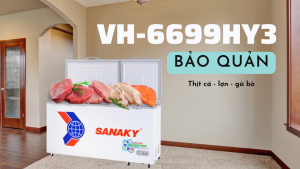 Bảo quản thực phẩm trong tủ đông VH-6699HY3
