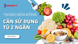 Tại sao mùa đông vẫn cần dùng tủ 2 ngăn Sanaky