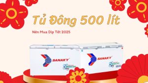 Tủ đông 500 lít Sanaky đáng mua trong dịp Tết 2025