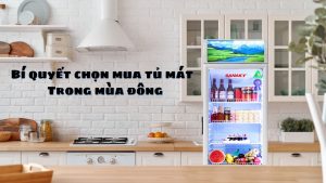 Bí quyết chọn mua tủ mát trong mùa đông