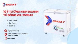 10 Ý Tưởng Sáng Tạo Với Tủ Đông VH-2599A3