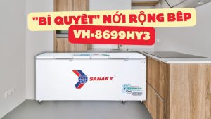 Bí Quyết Nới Rộng Bếp Nhà Hàng - Tủ Đông VH-8699HY3