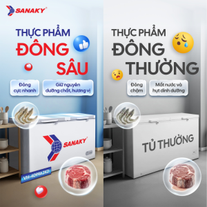 GIẢI MÃ CẤP ĐÔNG THỰC PHẨM ĐÔNG SÂU & THỰC PHẨM ĐÔNG THƯỜNG