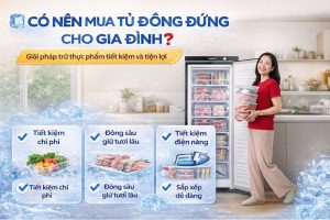 Có nên mua tủ đông đứng cho gia đình
