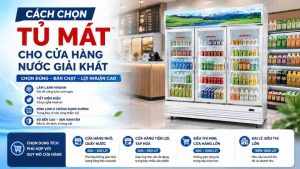 Cách Chọn Tủ Mát Cho Cửa Hàng Nước Giải Khát