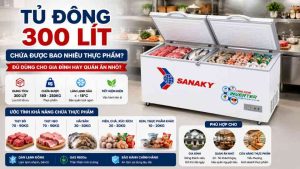 Tủ Đông 300 Lít Chứa Được Bao Nhiêu Thực Phẩm