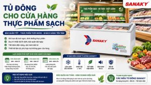 Tủ Đông Cho Cửa Hàng Thực Phẩm Sạch Nên Chọn Loại Nào